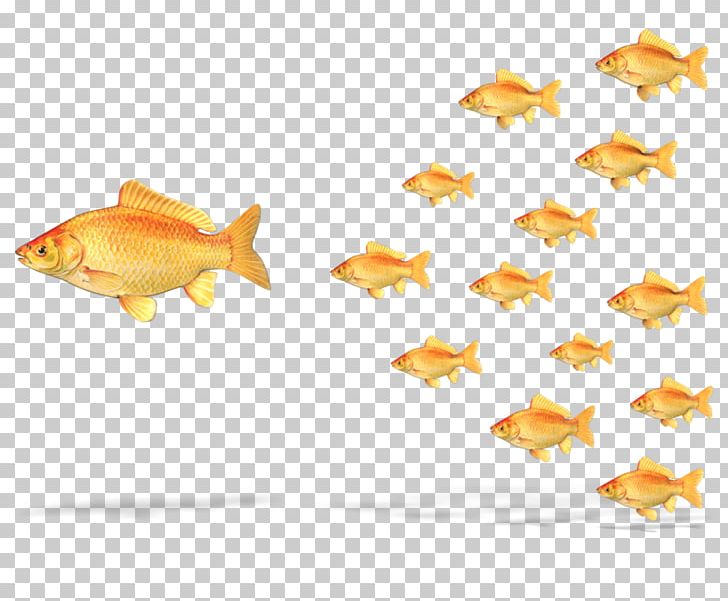 Leadership Authority Project PNG, Clipart, Animal Figure, Authority, Bony Fish, Business, Clip Art Free PNG Download