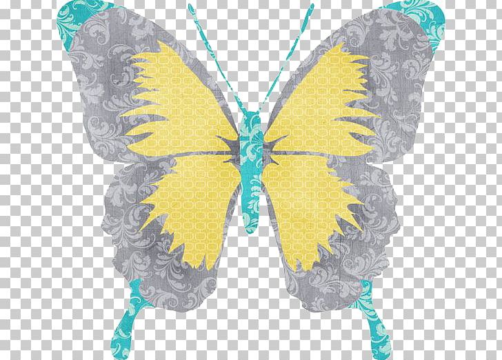 Butterfly Drawing Paper PNG, Clipart, Brush Footed Butterfly, Butterflies, Butterfly Group, Cartoon, Hand Free PNG Download
