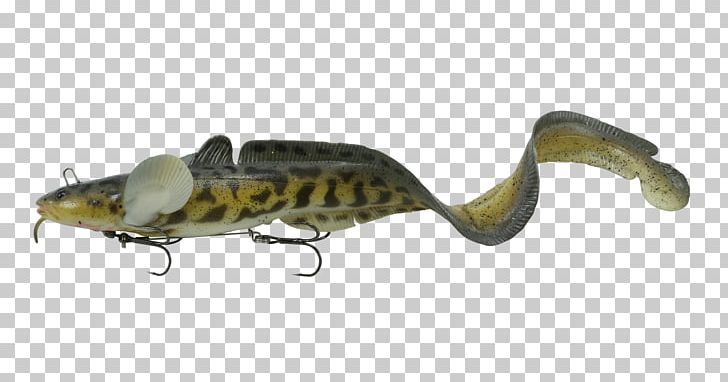 Fishing Baits & Lures Northern Pike Swimbait Burbot PNG, Clipart, Animal, Bait, Burbot, Cusk, Fauna Free PNG Download