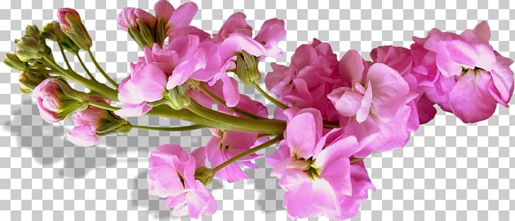 Flower Purple PNG, Clipart, Azalea, Blossom, Branch, Bud, Cherry Blossom Free PNG Download