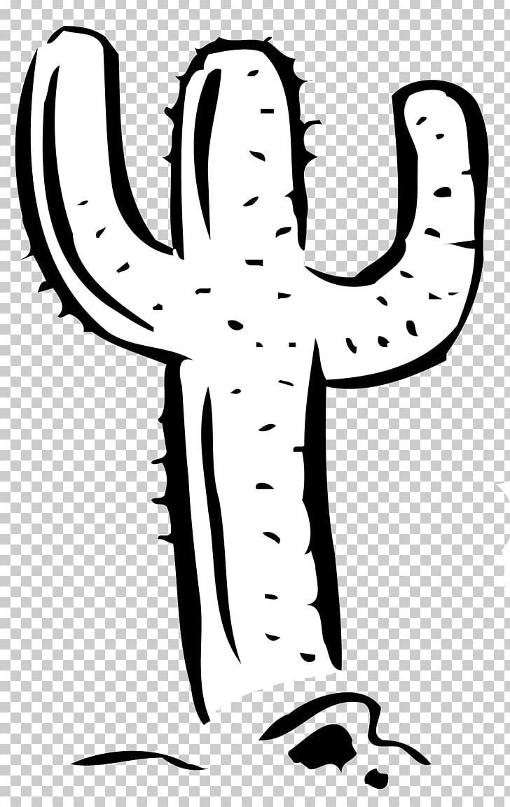 Line Art PNG, Clipart, Art, Artwork, Black And White, Cactaceae, Cacti Council Free PNG Download