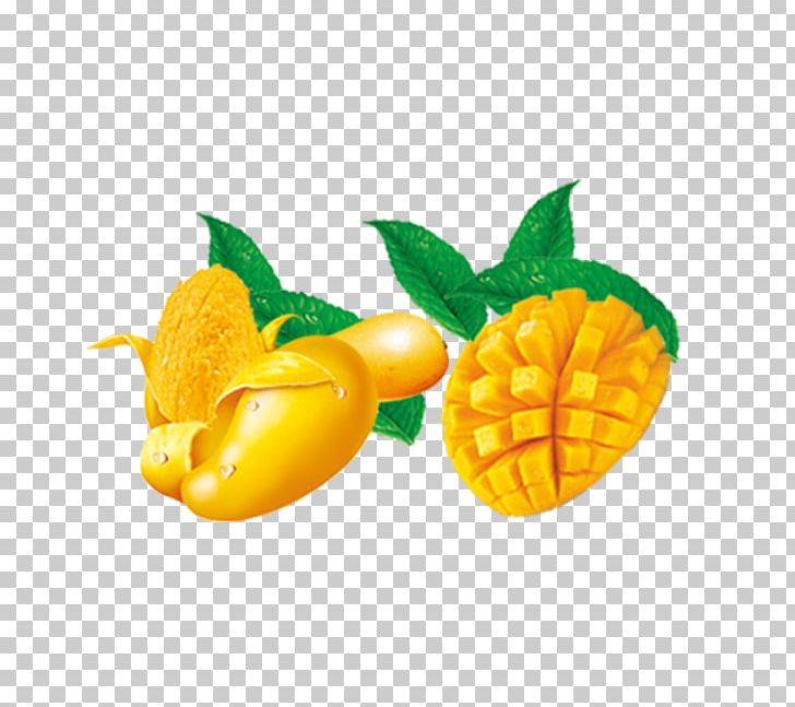 Mango Vegetarian Cuisine Fruit Vegetable PNG, Clipart, Cut Mango, Download, Dried Mango, Encapsulated Postscript, Euclidean Vector Free PNG Download