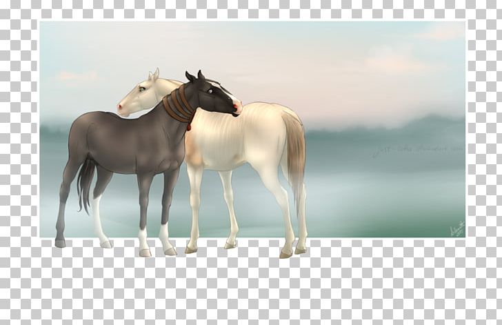 Mustang Stallion Foal Mare Colt PNG, Clipart, Animal, Colt, Fauna, Foal, Horse Free PNG Download