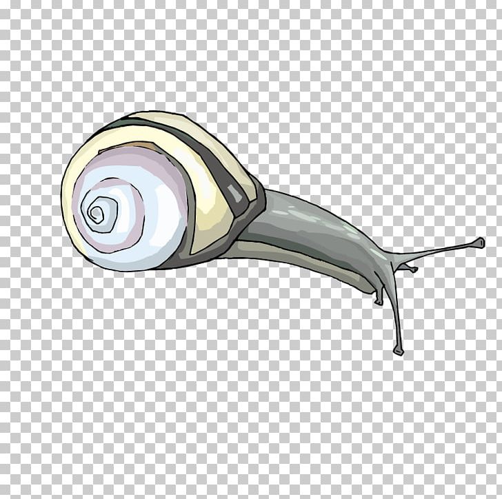 Snails PNG, Clipart, Angle, Animal, Animals, Animation, Caracol Free PNG Download