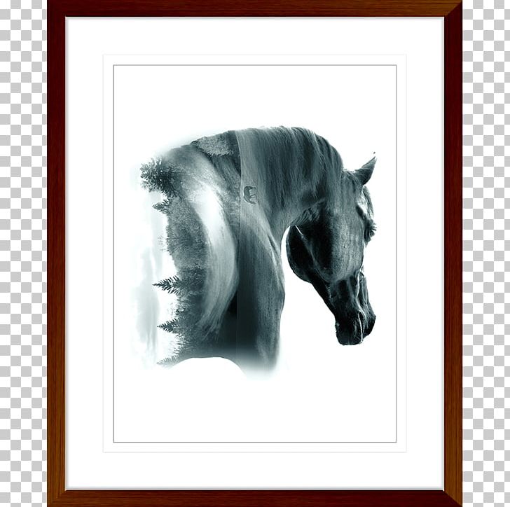 Stock Photography Painting Canvas PNG, Clipart, Art, Black And White, Canvas, Drawing, Horse Free PNG Download