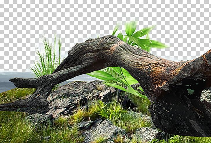 Tree Stump Trunk Euclidean PNG, Clipart, Christmas Tree, Concepteur, Euclidean Vector, Family Tree, Fauna Free PNG Download