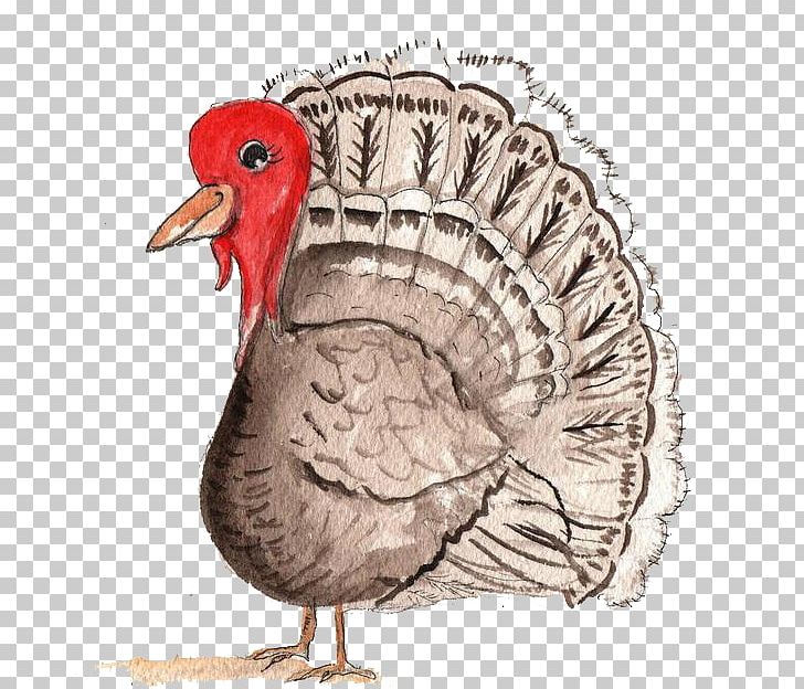 Domesticated Turkey Domestic Duck Gravy PNG, Clipart, Animals, Beak, Bird, Cartoon, Creative Free PNG Download