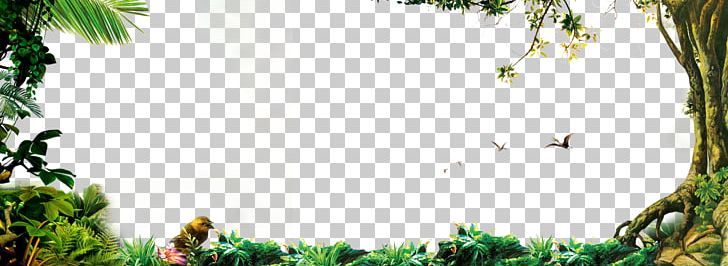 Jungle Forest PNG, Clipart, Branch, Computer Wallpaper, Decorative Patterns, Department Of Forestry, Desktop Wallpaper Free PNG Download