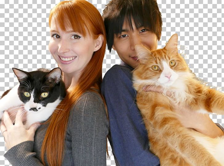 Kitten Japan Animazement Cat Rachel And Jun PNG, Clipart, 9nine, Animals, Animazement, Carnivoran, Cat Free PNG Download