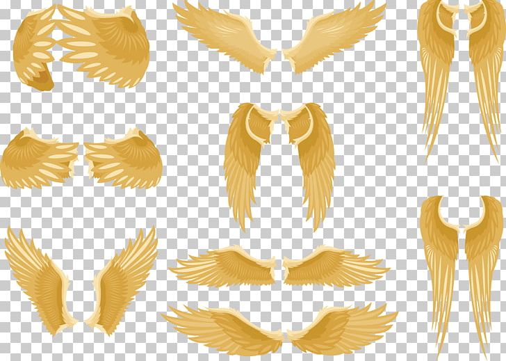 Wing Feather PNG, Clipart, Aggregate, Angel Wing, Angel Wings, Characteristic, Chicken Wings Free PNG Download