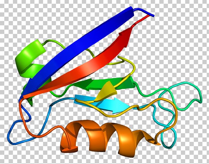 DLG1 DLG2 Gene Protein Membrane-associated Guanylate Kinase PNG, Clipart, Area, Artwork, Chromosome, Dlg1, Dlg4 Free PNG Download