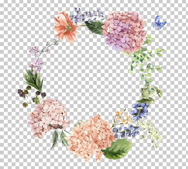 Flower Hydrangea Painting Illustration PNG, Clipart, Blossom, Cartoon, Colour, Cut Flowers, Decorate Free PNG Download
