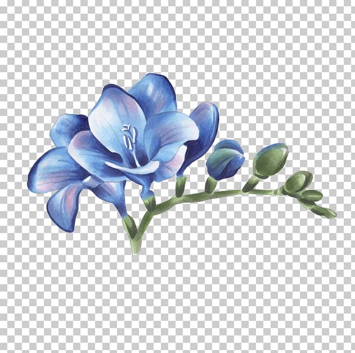 Freesia Abziehtattoo Cut Flowers PNG, Clipart, Abziehtattoo, Blue, Botanical Illustration, Branch, Color Free PNG Download