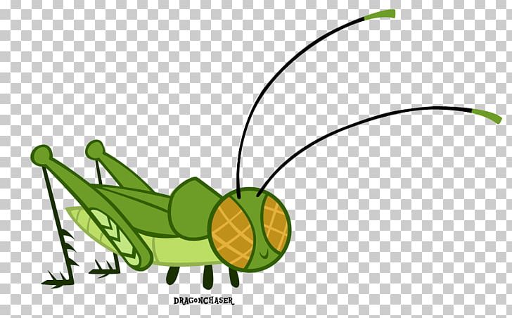 Grasshopper Insect Art Butterfly PNG, Clipart, Animal, Art, Arthropod, Artist, Butterflies And Moths Free PNG Download