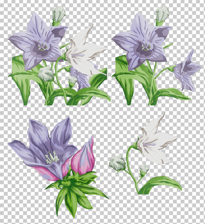 Lavender PNG, Clipart, Biology, Flower, Lavender, Lilac, Paint Free PNG Download