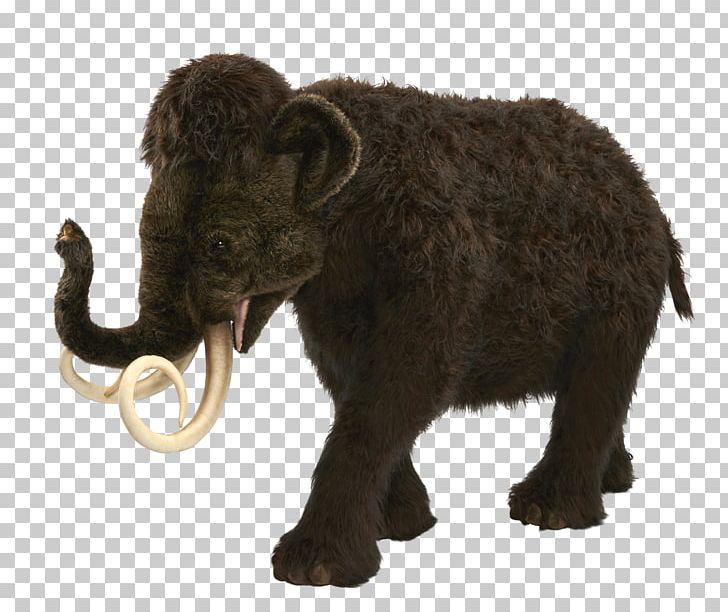 Domestic Yak Indian Elephant Wild Yak African Elephant PNG, Clipart, African Elephant, Animal, Animal Figure, Botanical Illustration, Cattle Free PNG Download