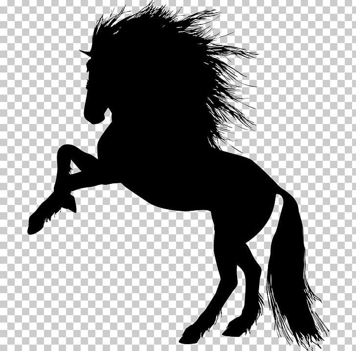 Horse Stallion Pony PNG, Clipart, Animals, Carnivoran, Cat Like Mammal, Desktop Wallpaper, Download Free PNG Download
