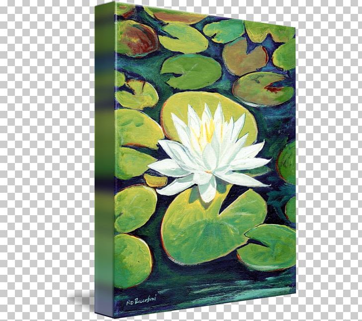 Painting Petal Flower Water Lilies Artist PNG, Clipart, Aquatic Animal, Aquatic Plant, Aquatic Plants, Art, Artist Free PNG Download