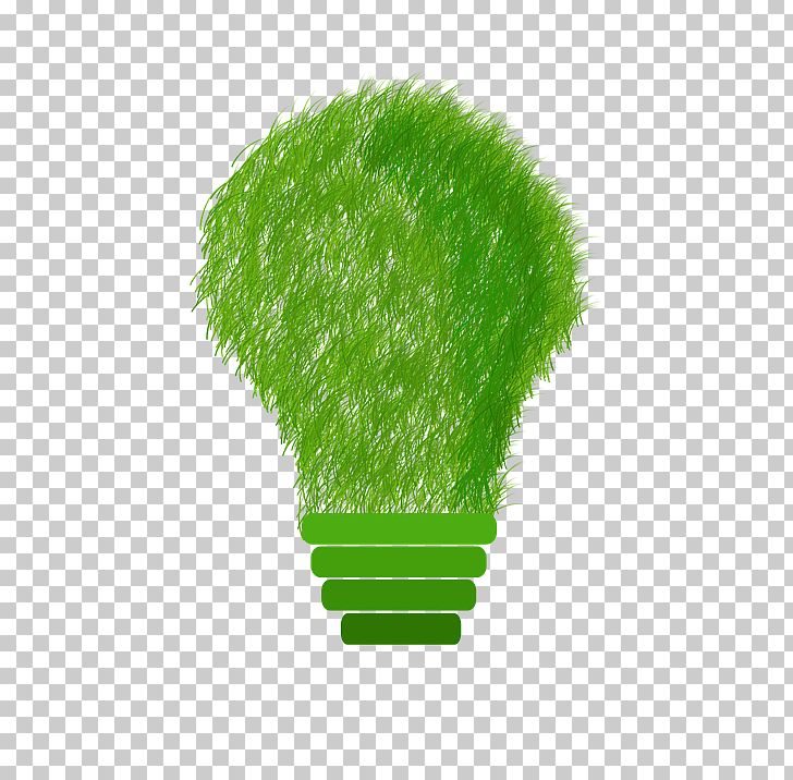 Sustainability Sustainable Development Sustainable Energy Sustainable Design PNG, Clipart, Company, Competitive Advantage, Electricity, Energy, Energy Conservation Free PNG Download