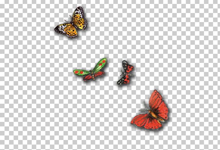 Butterfly PNG, Clipart, Adobe Illustrator, Blue Butterfly, Butterflies, Butterfly Group, Butterfly Wings Free PNG Download