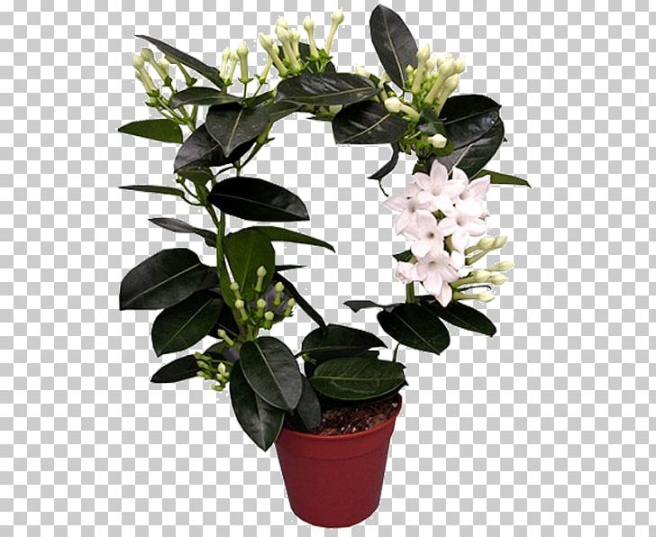 Houseplant Flowerpot Cut Flowers Garden Roses PNG, Clipart, Artificial Flower, Azalea, Calatheas, Chrysanthemum, Cut Flowers Free PNG Download