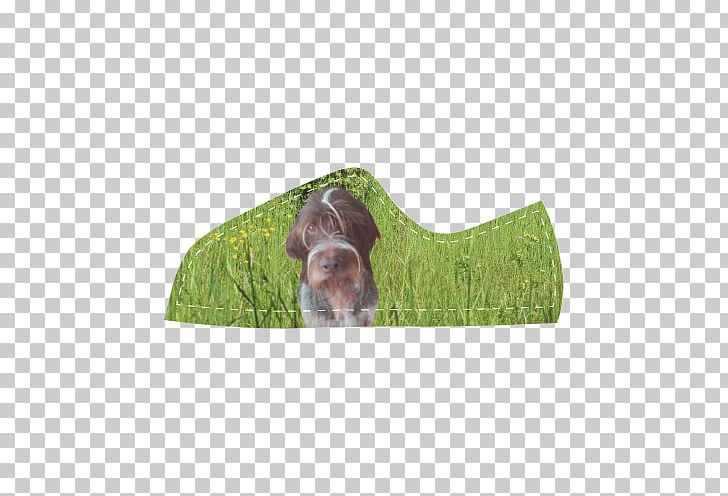 Dog Breed Wirehaired Pointing Griffon German Wirehaired Pointer Leash PNG, Clipart, Breed, Dog, Dog Breed, Dog Like Mammal, German Wirehaired Pointer Free PNG Download