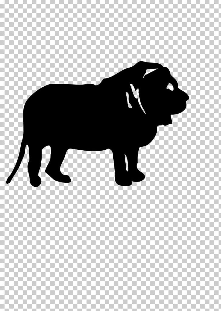 Lion PNG, Clipart, Animals, Black, Black And White, Carnivoran, Computer Icons Free PNG Download