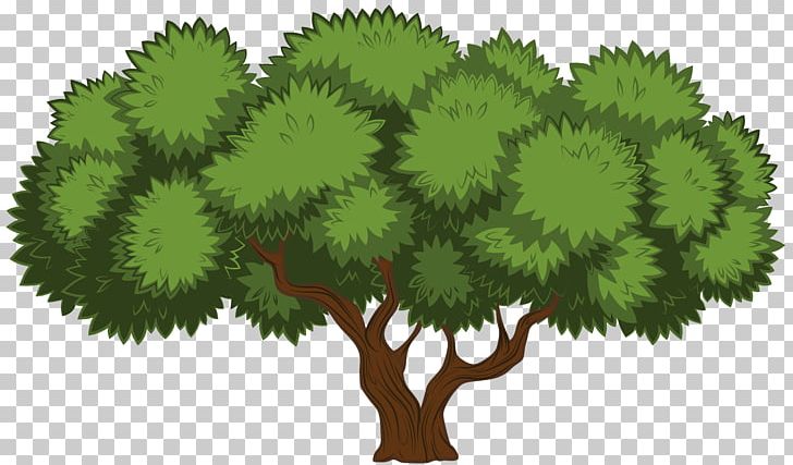 Tree PNG, Clipart, Arecaceae, Branch, Candy Cane, Christmas Tree, Download Free PNG Download