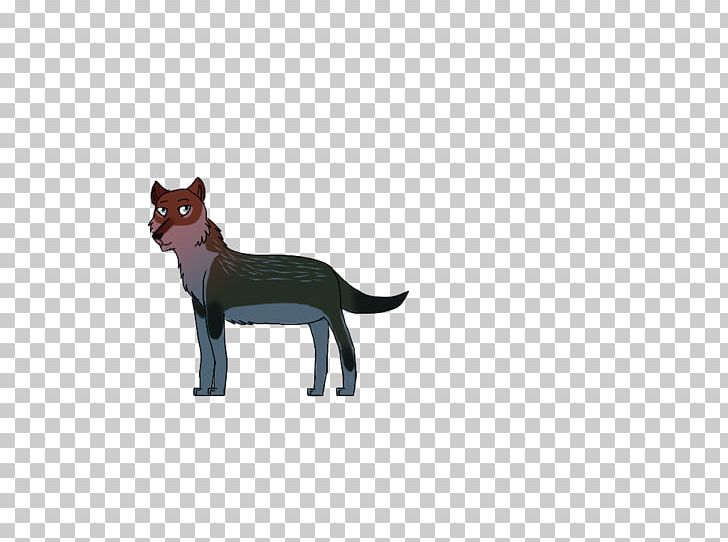 Whiskers Cat Red Fox Fauna Wildlife PNG, Clipart, Animal, Animal Figure, Animals, Carnivoran, Cat Free PNG Download