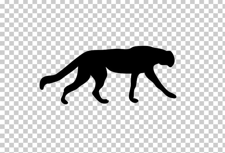 Cheetah Cat Cougar Leopard PNG, Clipart, Animals, Big Cats, Black, Black And White, Black Panther Free PNG Download