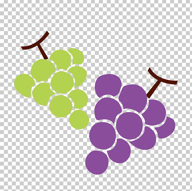 Grape Muscat Kyoho Fruit PNG, Clipart, Circle, Coloring Book, Common Grape Vine, Flashcard, Flowering Plant Free PNG Download