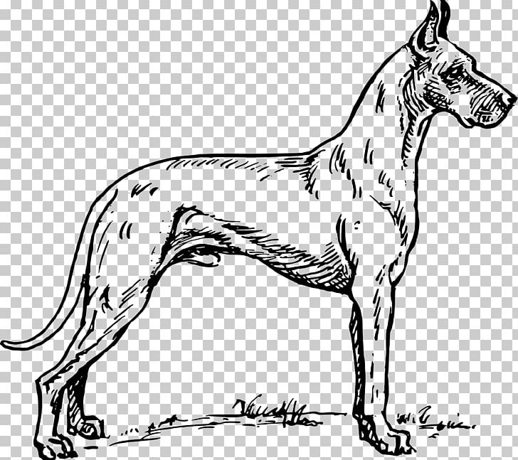 Great Dane Bulldog Boxer Dobermann Puppy PNG, Clipart, Animals, Black And White, Boxer, Bulldog, Carnivoran Free PNG Download