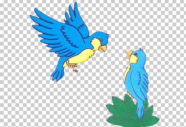 Macaw Parakeet Feather PNG, Clipart, Animal, Animal Figure, Animals, Art, Artwork Free PNG Download