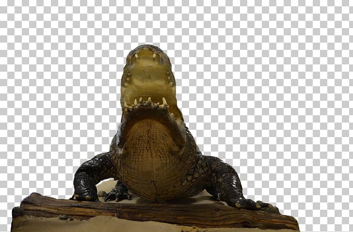 Alligator Reptile Sculpture PNG, Clipart, Alligator, Animals, Bronze, Bronze Sculpture, Giant Bicycles Free PNG Download
