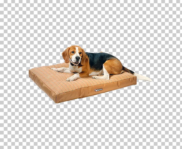 Dog Breed Dog Crate Bed Companion Dog PNG, Clipart, Bed, Breed, Companion Dog, Dodo, Dog Free PNG Download