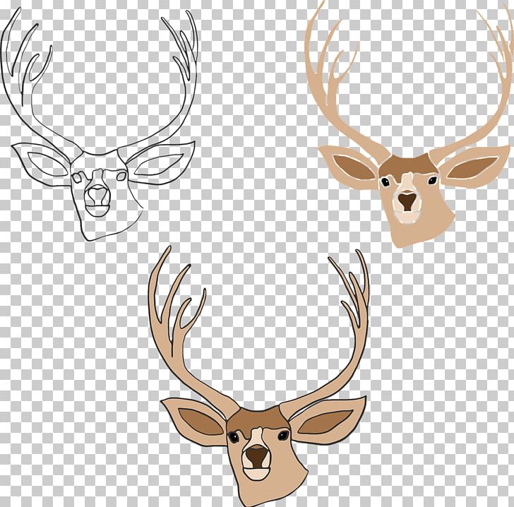 Elk Red Deer Reindeer Horn PNG, Clipart, Animal, Animals, Antler, Cervus, Deer Free PNG Download