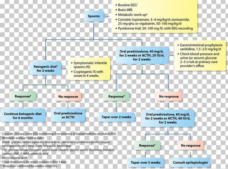 Ketogenic Diet Epilepsy Medical Guideline Therapy Epileptic Seizure PNG, Clipart, Area, Brand, Convulsions, Diabetes Mellitus, Diagram Free PNG Download