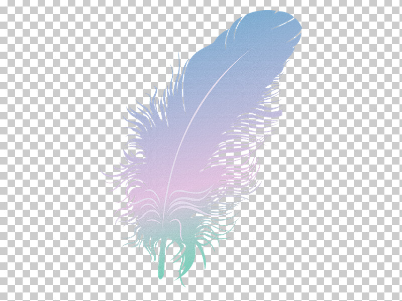 Feather PNG, Clipart, Computer, Feather, M, Purple Free PNG Download
