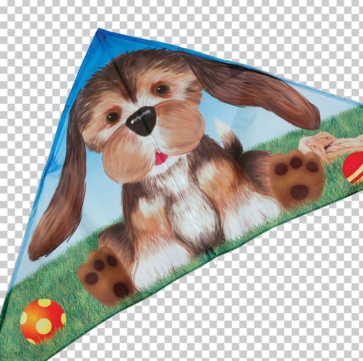 Dog Breed Shih Tzu Puppy Companion Dog Snout PNG, Clipart, Breed, Carnivoran, Companion Dog, Crossbreed, Delta Air Lines Free PNG Download