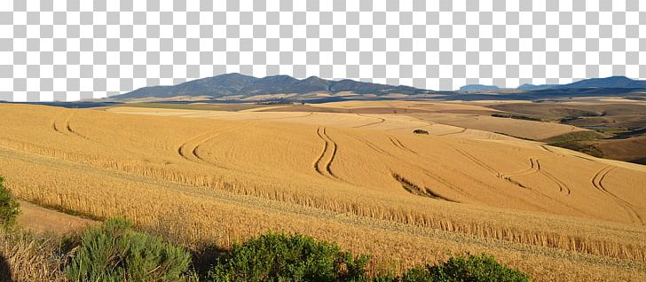 Ecoregion Soil Grassland Sand Land Lot PNG, Clipart, Agriculture, Autumn, Cereals, Crop, Ecoregion Free PNG Download