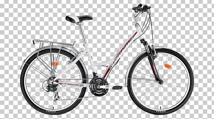 Single-speed Bicycle Mountain Bike Bicycle Frames Fixed-gear Bicycle PNG, Clipart, Bicycle, Bicycle Frame, Bicycle Frames, Bicycle Saddle, Bicycle Wheel Free PNG Download
