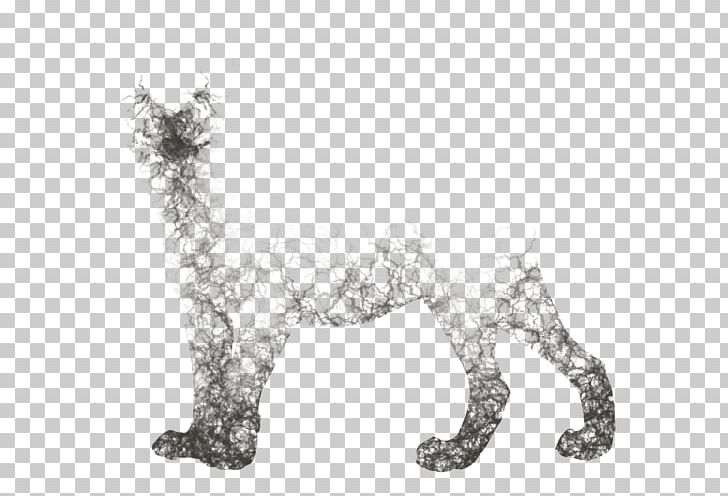 Cat Canidae Dog Paw Pet PNG, Clipart, Animal, Animal Figure, Animals, Big Cat, Big Cats Free PNG Download