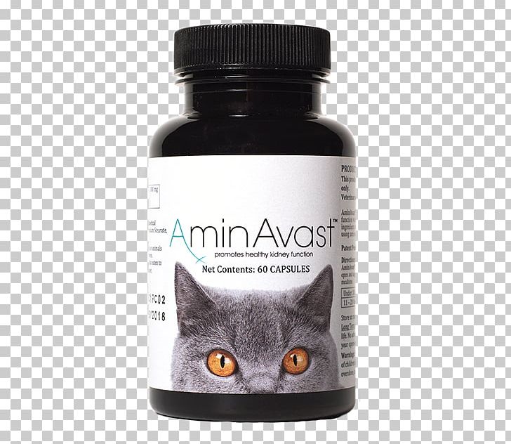 Cat Dog Dietary Supplement Veterinarian Felidae PNG, Clipart, Animals, Capsule, Cat, Cat Like Mammal, Cats Dogs Free PNG Download