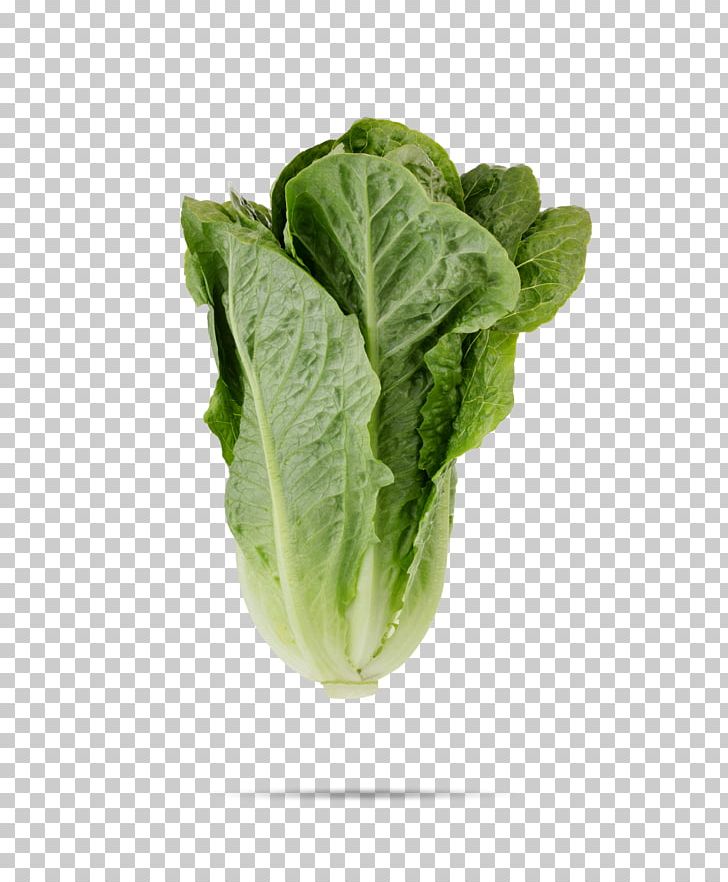 Leaf Vegetable Romaine Lettuce Salad Cruciferous Vegetables PNG, Clipart, Cabbage, Chard, Choy Sum, Collard Greens, Cruciferous Vegetables Free PNG Download