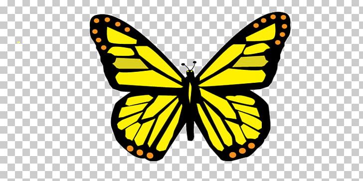 Monarch Butterfly Coloring Book Adult Child PNG, Clipart, Adult, Arthropod, Black And White, Book, Brush Footed Butterfly Free PNG Download