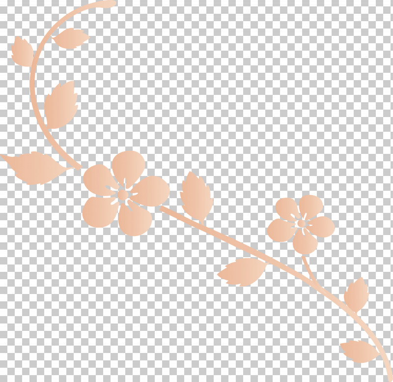 Leaf Branch Plant Flower Beige PNG, Clipart, Beige, Blossom, Branch, Decoration Frame, Flower Free PNG Download