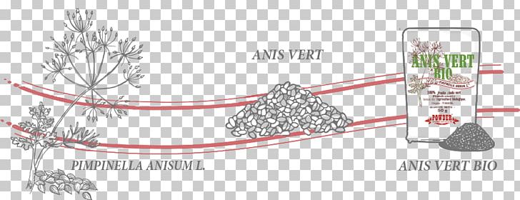 Anise Spice Anis Vert Bio Riche En Propriétés Digestives Digestif Flavor PNG, Clipart, Anice, Anise, Area, Century, Digestif Free PNG Download