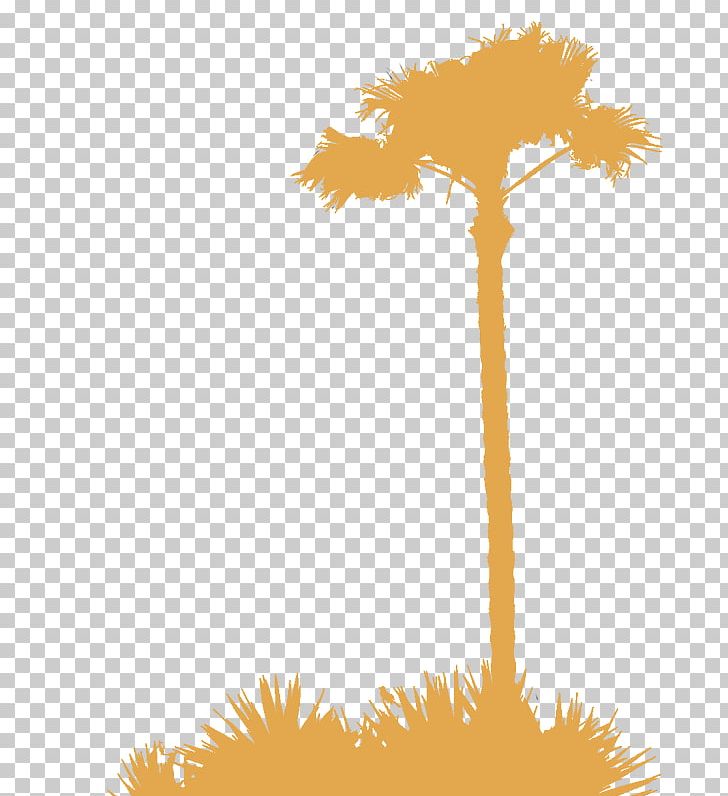 Arecaceae Silhouette Tree PNG, Clipart, Animals, Arecaceae, Branch, Computer Wallpaper, Flower Free PNG Download