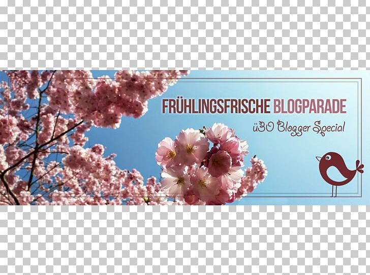 Blogger Fashion Blog Google March Equinox PNG, Clipart, Blog, Blogger, Blossom, Cherry, Cherry Blossom Free PNG Download