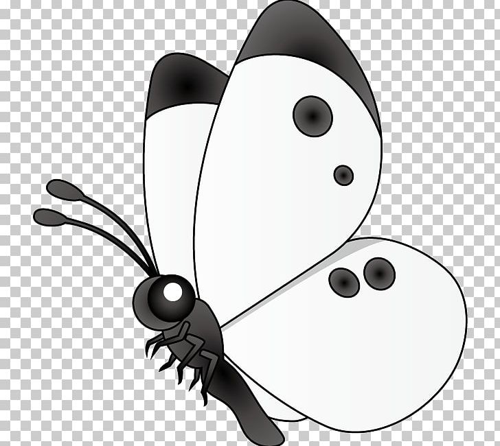 Butterfly Pieris Rapae Insect Black And White PNG, Clipart, Aureus Butterflies Insects, Black, Black And White, Butterfly, Fictional Character Free PNG Download